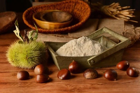 Bulk Chestnut Powder Bulk Chestnut Powder